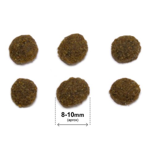 ARQUIVET CAT Original dla kotów sterylizowanych kurczak z ryżem 1,5 kg Arquivet