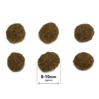 ARQUIVET CAT Original dla kotów sterylizowanych łosoś z ryżem 7 kg Arquivet