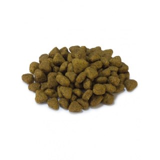 ARQUIVET CAT Sucha karma dla kotów sterylizowanych z białą rybą i tuńczykiem 1,5 kg Arquivet