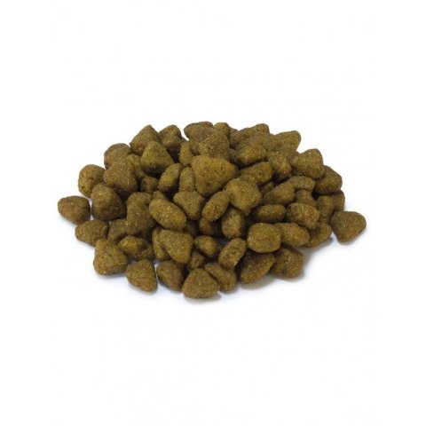 ARQUIVET CAT Sucha karma dla kotów sterylizowanych z białą rybą i tuńczykiem 1,5 kg Arquivet