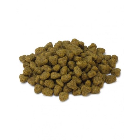 ARQUIVET CAT Sucha karma dla kotów sterylizowanych z indykiem 1,5 kg Arquivet