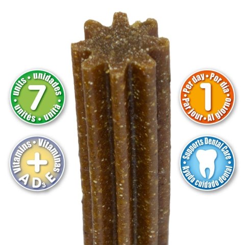 ARQUIVET Dental Sticks Classic Arquivet