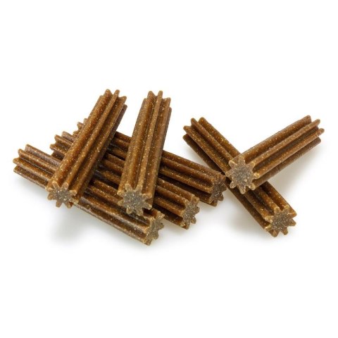 ARQUIVET Dental Sticks Classic Arquivet