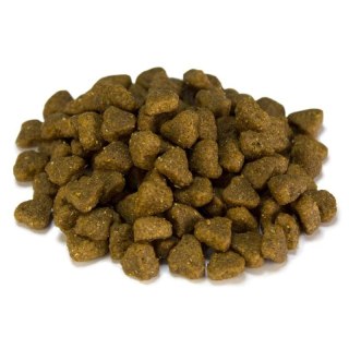 Arquivet Dog Adult Mini 3kg Arquivet