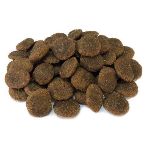 Arquivet GRAIN FREE Indyk z warzywami 12 kg Arquivet