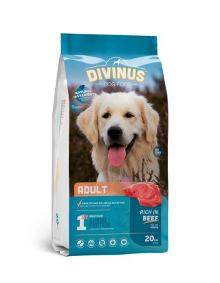 Divinus Adult dla psów dorosłych 20kg Divinus