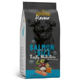 Divinus FLAVOUR DOG - łosoś z ryżem 18 kg Divinus