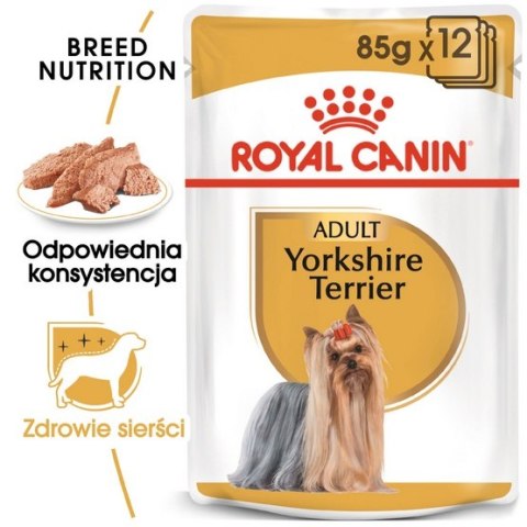 Royal Canin Breed Royal Canin Yorkshire Terrier Adult karma mokra - pasztet, dla psów dorosłych rasy yorkshire terrier saszetka 85g