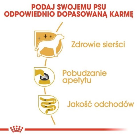 Royal Canin Breed Royal Canin Yorkshire Terrier Adult karma mokra - pasztet, dla psów dorosłych rasy yorkshire terrier saszetka 85g