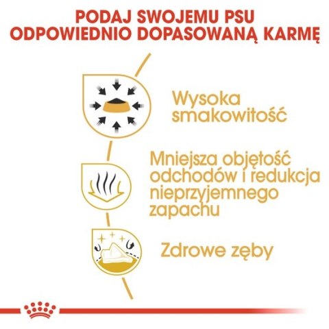 Royal Canin Breed Royal Canin Chihuahua Adult karma sucha dla psów dorosłych rasy chihuahua 1,5kg