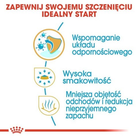 Royal Canin Breed Royal Canin Chihuahua Puppy karma sucha dla szczeniąt do 8 miesiąca, rasy chihuahua 1,5kg