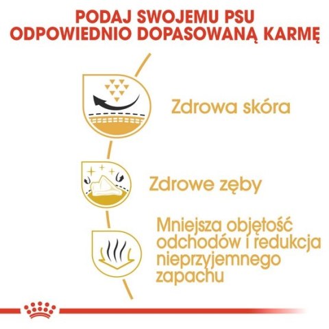 Royal Canin Breed Royal Canin Shih Tzu Adult karma sucha dla psów dorosłych rasy shih tzu 1,5kg
