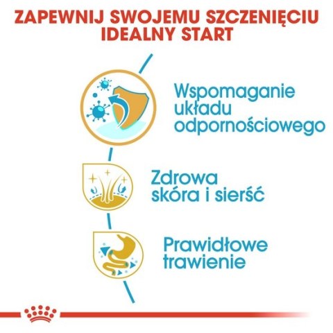 Royal Canin Breed Royal Canin Shih Tzu Puppy karma sucha dla szczeniąt do 10 miesiąca, rasy shih tzu 1,5kg