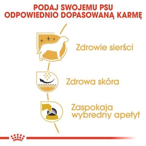 Royal Canin Breed Royal Canin West Highland White Terrier Adult karma sucha dla psów dorosłych rasy west highland white terrier 1,5kg