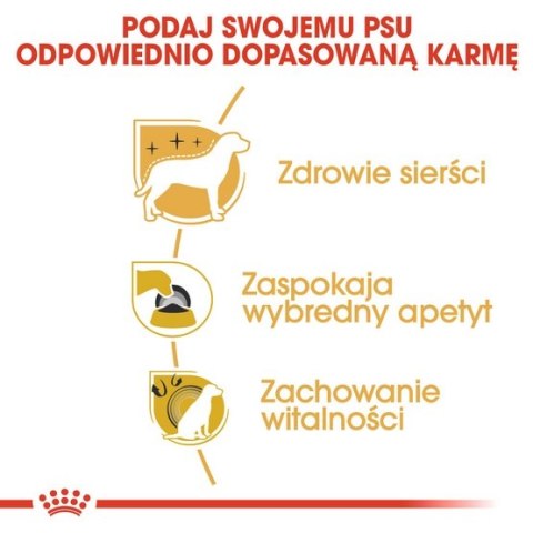 Royal Canin Breed Royal Canin Yorkshire Terrier Adult karma sucha dla psów dorosłych rasy yorkshire terrier 1,5kg