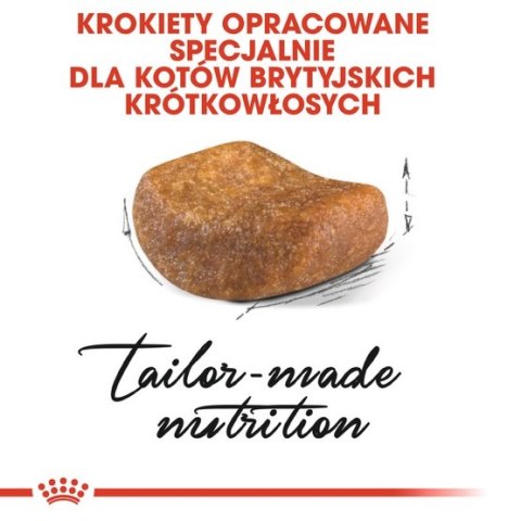 Royal Canin Feline Royal Canin British Shorthair Adult karma sucha dla kotów dorosłych rasy brytyjski krótkowłosy 4kg