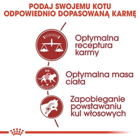 Royal Canin Feline Royal Canin Fit karma sucha dla kotów dorosłych, wspierająca idealną kondycję 400g