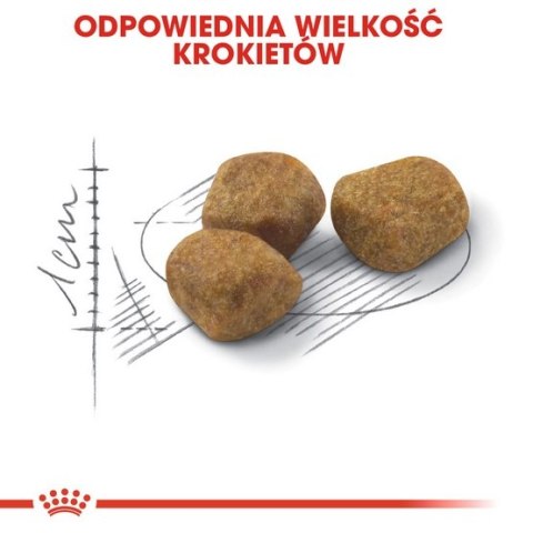 Royal Canin Feline Royal Canin Fit karma sucha dla kotów dorosłych, wspierająca idealną kondycję 400g