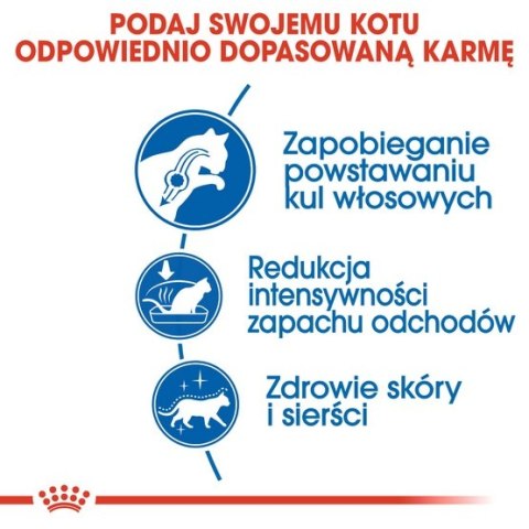 Royal Canin Feline Royal Canin Indoor Long Hair karma sucha dla kotów dorosłych, długowłose, przebywających wyłącznie w domu 400g