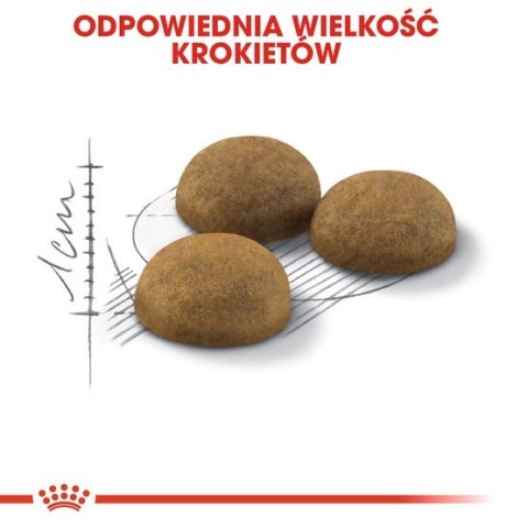 Royal Canin Feline Royal Canin Indoor Long Hair karma sucha dla kotów dorosłych, długowłose, przebywających wyłącznie w domu 400g