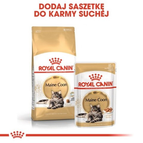 Royal Canin Feline Royal Canin Maine Coon Adult karma sucha dla kotów dorosłych rasy maine coon 2kg