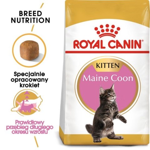 Royal Canin Feline Royal Canin Maine Coon Kitten karma sucha dla kociąt, do 15 miesiąca, rasy maine coon 400g