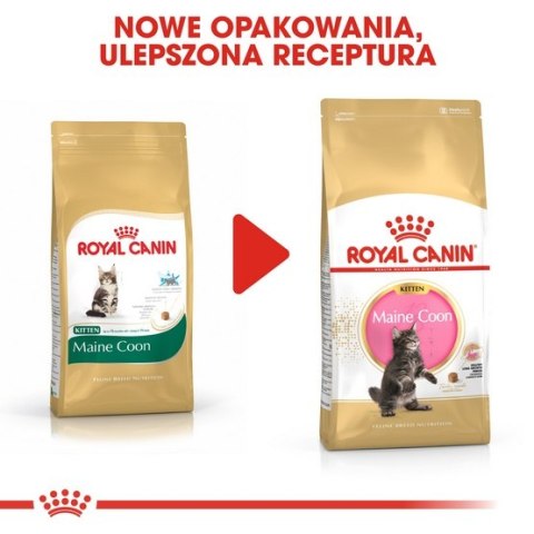 Royal Canin Feline Royal Canin Maine Coon Kitten karma sucha dla kociąt, do 15 miesiąca, rasy maine coon 400g
