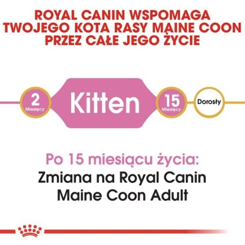 Royal Canin Feline Royal Canin Maine Coon Kitten karma sucha dla kociąt, do 15 miesiąca, rasy maine coon 400g