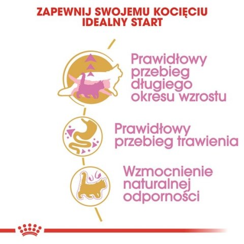 Royal Canin Feline Royal Canin Maine Coon Kitten karma sucha dla kociąt, do 15 miesiąca, rasy maine coon 4kg