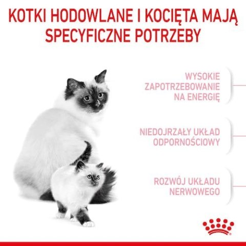 Royal Canin Feline Royal Canin Mother&Babycat karma sucha dla kotek w okresie ciąży, laktacji i kociąt od 1 do 4 miesiąca 2kg