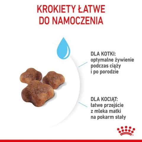 Royal Canin Feline Royal Canin Mother&Babycat karma sucha dla kotek w okresie ciąży, laktacji i kociąt od 1 do 4 miesiąca 2kg
