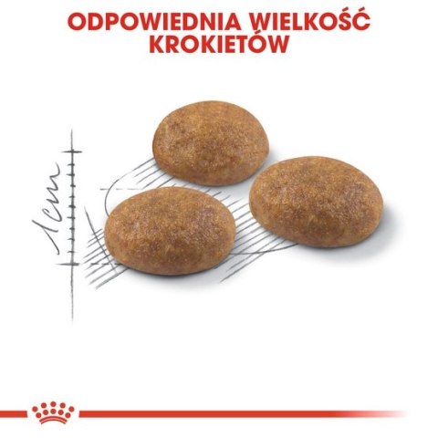 Royal Canin Feline Royal Canin Outdoor karma sucha dla kotów dorosłych, wychodzących na zewnątrz 2kg
