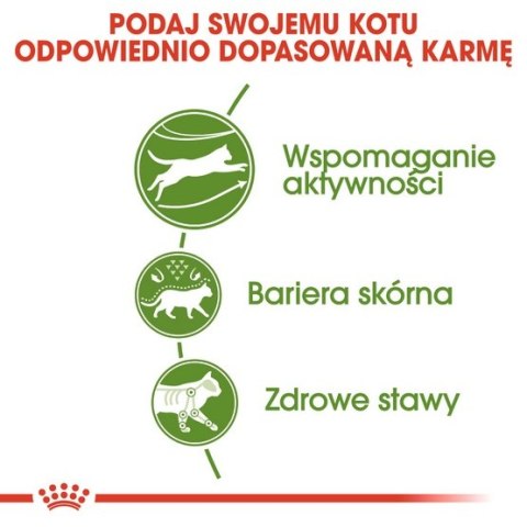 Royal Canin Feline Royal Canin Outdoor karma sucha dla kotów dorosłych, wychodzących na zewnątrz 400g