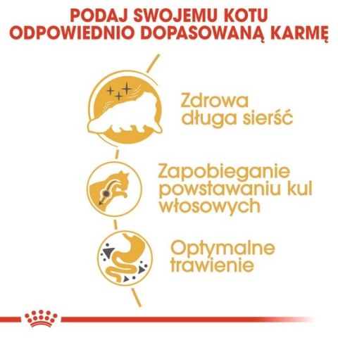 Royal Canin Feline Royal Canin Persian Adult karma sucha dla kotów dorosłych rasy perskiej 400g