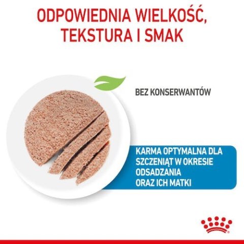 Royal Canin Size Royal Canin Starter Mother&Babydog karma mokra - mus, dla suk w czasie ciąży, laktacji oraz szczeniąt puszka 195g