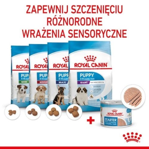 Royal Canin Size Royal Canin Starter Mother&Babydog karma mokra - mus, dla suk w czasie ciąży, laktacji oraz szczeniąt puszka 195g
