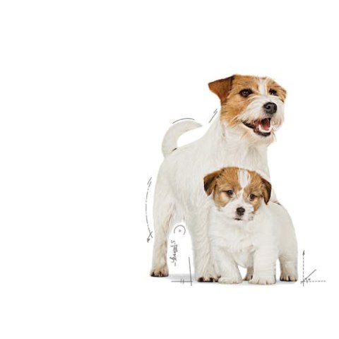 Royal Canin Size Royal Canin Starter Mother&Babydog karma mokra - mus, dla suk w czasie ciąży, laktacji oraz szczeniąt puszka 195g