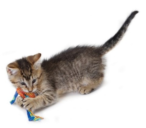 Petstages Petstages Gryzaki do higieny zębów kota PS326