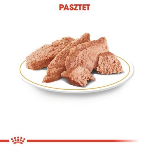 Royal Canin Breed Royal Canin Chihuahua Adult karma mokra - pasztet, dla psów dorosłych rasy chihuahua saszetka 85g