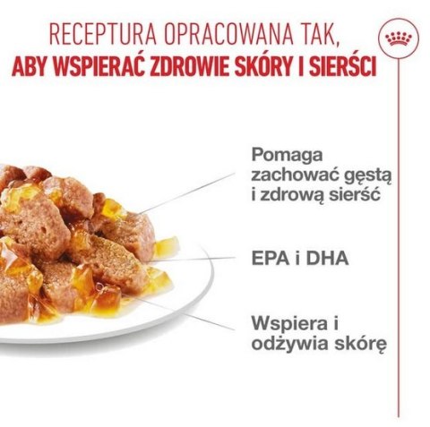 Royal Canin Feline Royal Canin Hair & Skin Care karma mokra w galaretce dla kotów dorosłych, lśniąca sierść i zdrowa skóra saszetka 85g