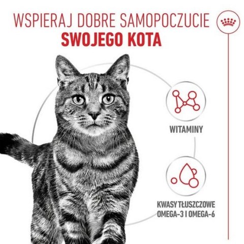 Royal Canin Feline Royal Canin Hair & Skin Care karma mokra w galaretce dla kotów dorosłych, lśniąca sierść i zdrowa skóra saszetka 85g