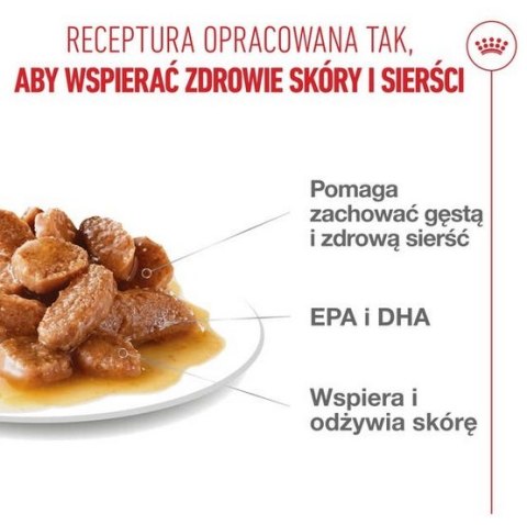 Royal Canin Feline Royal Canin Hair & Skin Care w sosie karma mokra dla kotów dorosłych, zdrowa skóra, piękna sierść saszetka 85g