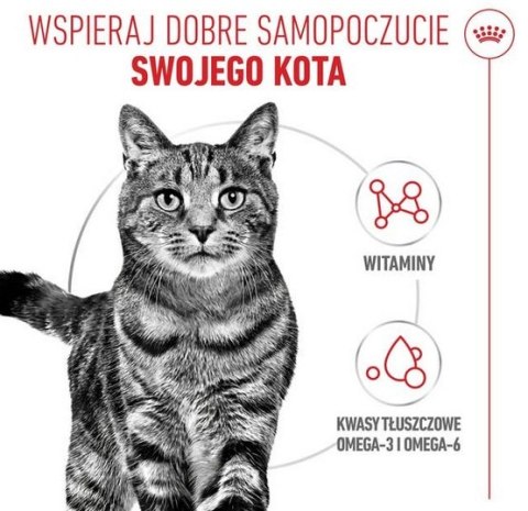 Royal Canin Feline Royal Canin Hair & Skin Care w sosie karma mokra dla kotów dorosłych, zdrowa skóra, piękna sierść saszetka 85g