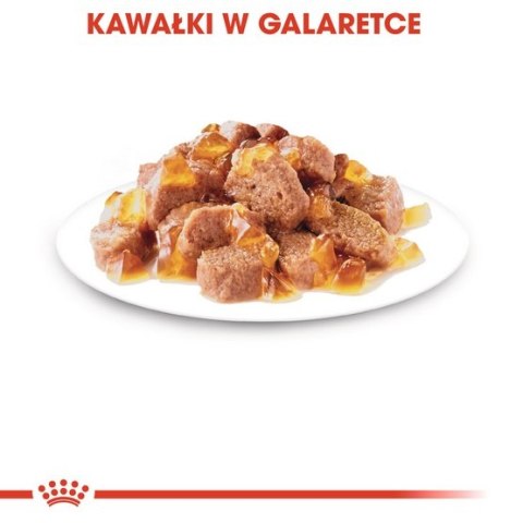 Royal Canin Feline Royal Canin Instinctive w galaretce karma mokra dla kotów dorosłych, wybrednych saszetka 85g