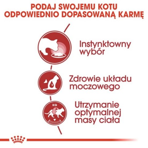 Royal Canin Feline Royal Canin Instinctive w sosie karma mokra dla kotów dorosłych, wybrednych saszetka 85g