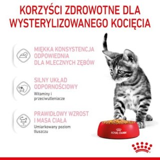 Royal Canin Feline Royal Canin Kitten Sterilised karma mokra w galaretce dla kociąt od 6 do 12 miesiąca życia, sterylizowanych saszetka 85g