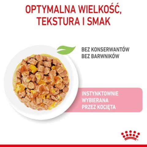 Royal Canin Feline Royal Canin Kitten Sterilised karma mokra w galaretce dla kociąt od 6 do 12 miesiąca życia, sterylizowanych saszetka 85g