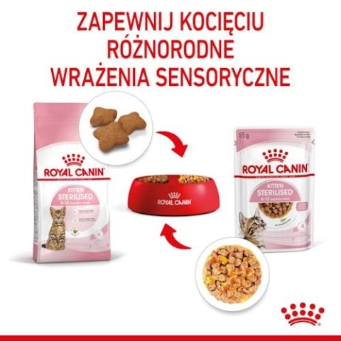 Royal Canin Feline Royal Canin Kitten Sterilised karma mokra w galaretce dla kociąt od 6 do 12 miesiąca życia, sterylizowanych saszetka 85g