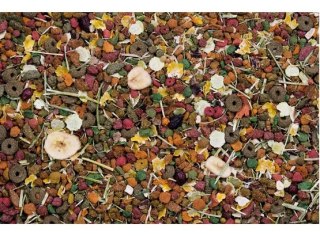Versele-Laga Versele-Laga Chinchilla Nature Original pokarm dla szynszyli 750g