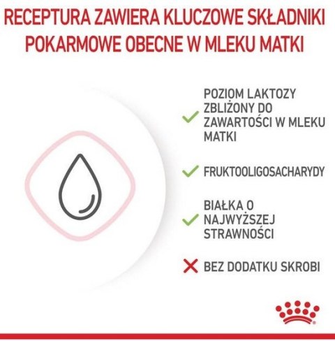 Royal Canin Feline Royal Canin Babycat Milk pełnoporcjowy preparat mlekozastępczy dla kociąt do 2 miesiąca życia 300g